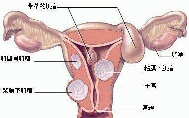 第758页