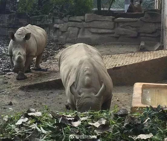 娱乐生活 第15页